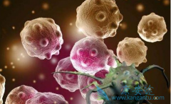 ������Щ֢״�����Ƿΰ���ת����?