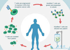 ����ϸ�����Ʒ���CAR-T�Ʒ�����Ϊ�ǰ�֢������ϣ��
