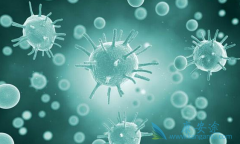 ����Tϸ����CAR-Tϸ��������Ч�Ե�Ǳ��Ӱ��