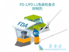 PD-1/PD-L1���Ƽ����۰�������ͬ��Ч���ܺ�