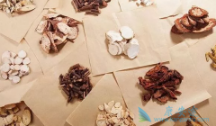 ��ҩ���ư�֢�������������������ͻ