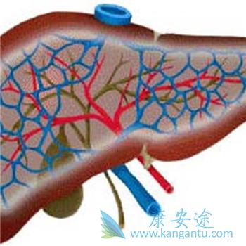 ���γ���֢״