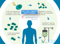 Ŀǰ�����Ѿ���CAR-Tϸ���Ʒ����뵽ҽ����Χ