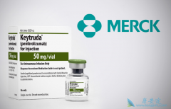 Ĭɳ������PD-1���Ƽ�Keytruda�ؼ��ٴ�����ִ��յ�