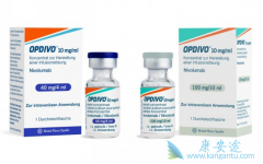 PD-1����Opdivo��Yervoy��������ת���Խ�ֱ����Ч������