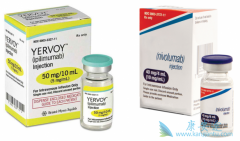 Yervoy��������ķ�꣩�������CTLA-4�����ź�ͨ·