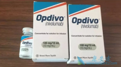 PD-1��������������ʱ��PD-L1�����޹�