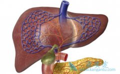 ���ε�֢״���ֲ����Ի���Ӧ�����ڼ��Ԥ�����Ʊ���