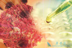 �ҹ���CAR-T������ӭ����ҩ�о����������