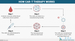 ĿǰCAR-Tϸ�����Ʒ�����Ӧ���Ѿ����پ�����CD19