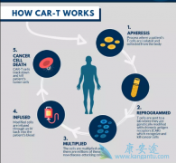 CAR-Tϸ�������ڰ�Ѫ�����ܰ�����������չ������Ч��