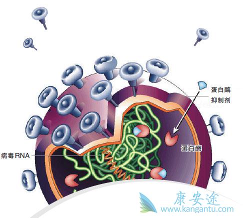 ���ο�������