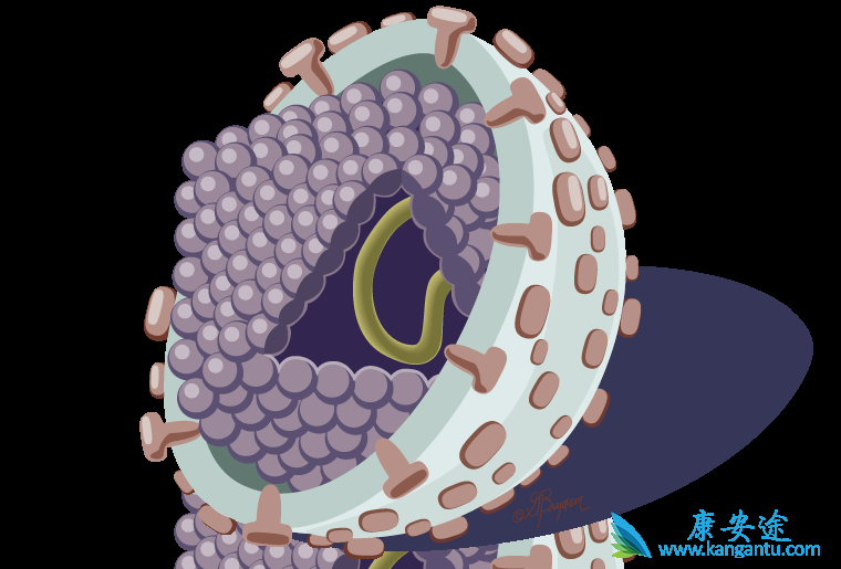 ���ο���