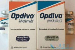 PD-1���Ƽ����������ѳ����кܺõ�Ч��