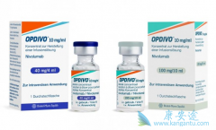 Opdivo(nivolumab)����Yervoy(ipilimumab)��Ч���ڻ���