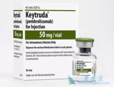 Keytruda��PD-1���Ʒΰ�����ȡ�úõĳɼ�