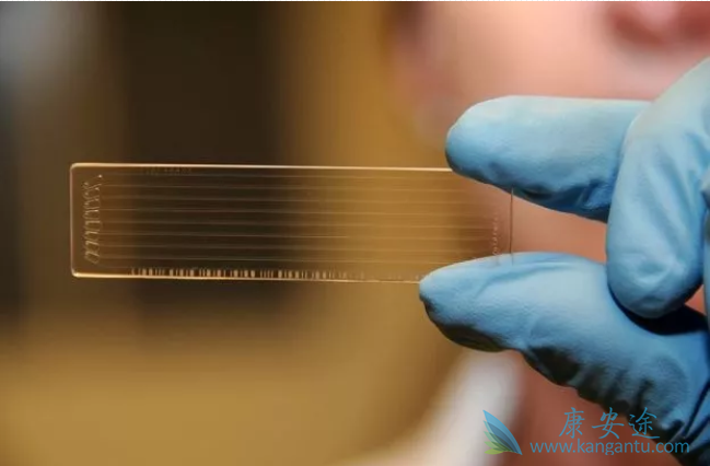 ����������Ʒ���