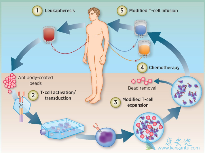 ϸ�������Ʒ�