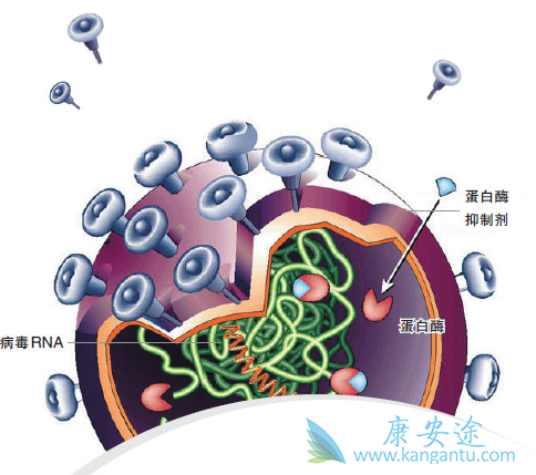 ���δ���;��