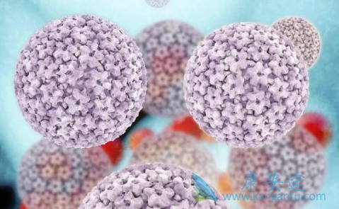 ���κ�����