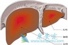 ���ε�����֢״���ױ����ӻ������Ԥ�����Ʊ���