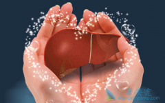 �ñ���Ҫ��������ε����Ʒ���������Щ