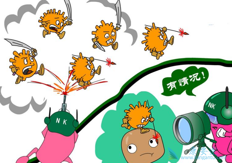 ���ε����Ʒ���