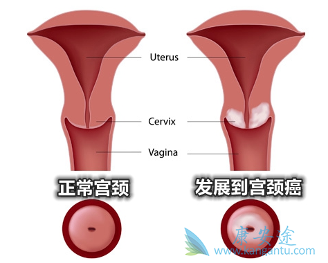 ������֢״