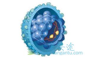 ���ε�����֢״