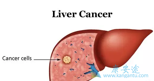 ������ô��Ⱦ