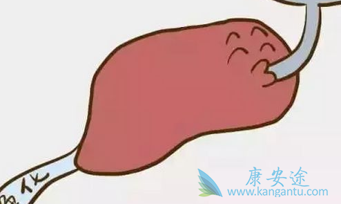 �����ܻ���