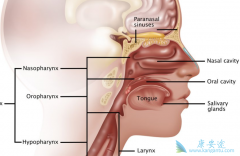 ��ʹ�Ծ����ܰͽ��״�Ҳ�������ڱ��ʰ�֢״