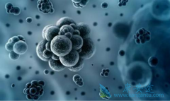 һ�����־�����������Ϊû�����Ⱙ֢ǰ��