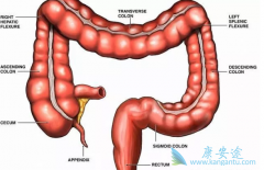 ���ڵĴ󳦰�֢״�����ױ��˺���