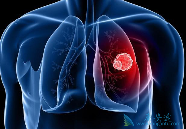 �ΰ������Ʒ���