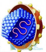 �����ϲ��������п��ܷ�չ�ɷΰ�����