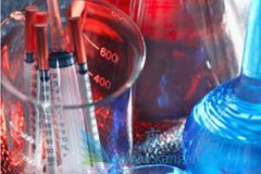 �ΰ����˼������ʷΰ��ᴫȾ��