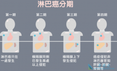 �����ܰͰ�֢״�Ի�������Щ�����ϵ�����