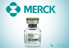 PD-1���Ƽ�Keytruda������ڷΰ���������