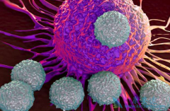 ��������CAR-T�����걨��չ����ע