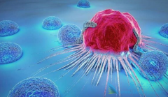 �°�������PD-1���Ƽ��������ڹ�������