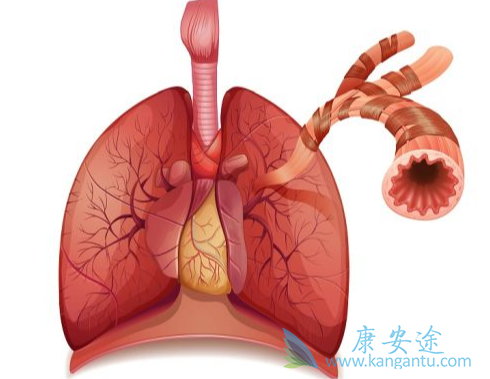 �ΰ�������