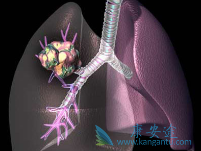 ��ҩ���Ʒΰ�