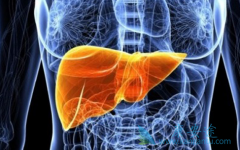 ��Щ�ΰ�֢״���ֱ������߷����˷ΰ���ת��