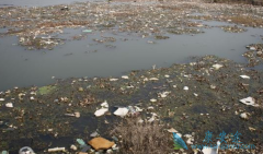 �й���֢��ĳ����뻷����������Ⱦ�ܲ��ɷ�