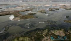 ��ȫ�İ�֢�����������˿�����û����ļ���