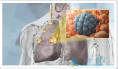 kҩ�ڷ�Сϸ���ΰ�һ�����Ʒ����Ʋ��ɵ�