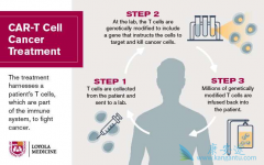 ����ͨ����CAR-Tϸ�������Ʒ����ܽ��������ƶ��ְ�֢