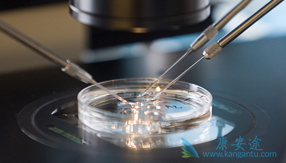 泰国试管婴儿技术 泰国试管婴儿技术