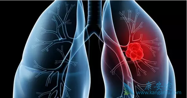 �ΰ����ڳ�ʲô��